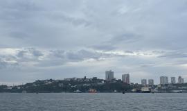 IMG_1002.jpeg