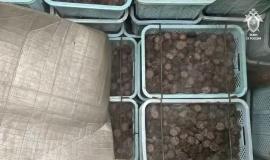 IMG_1101.jpeg