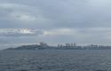 IMG_0986.jpeg