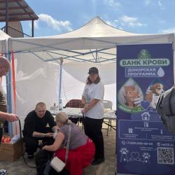 Фестиваль «Собаки города_В» объединил владельцев питомцев, специалистов и волонтёров #4