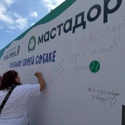Фестиваль «Собаки города_В» объединил владельцев питомцев, специалистов и волонтёров #7