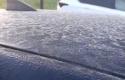 IMG_1360.jpeg