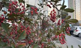 IMG_4397.jpeg