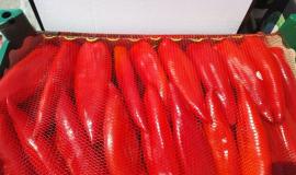 20250605_150056-768x576.jpg