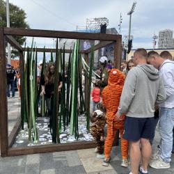 Тигриный марш и грандиозный концерт на Спортивной набережной – как прошел главный экологический праздник Приморья #60