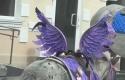 IMG_2362.jpeg