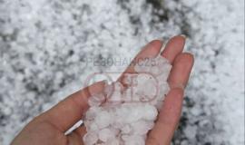 IMG_2492.jpeg