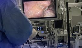 IMG_2835.jpeg