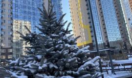 IMG_3058.jpeg