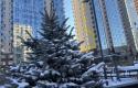 IMG_3058.jpeg