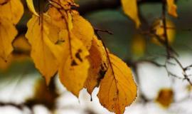 thumb_575321_news_xxxl (1).jpeg