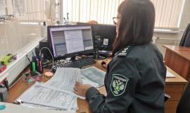 pd2-768x576.jpg