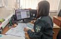 pd2-768x576.jpg