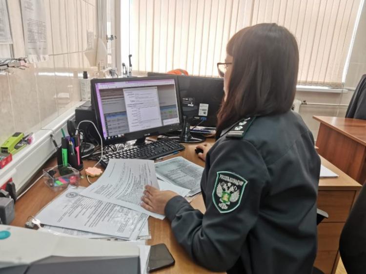 pd2-768x576.jpg