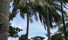 IMG_9989.jpeg