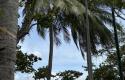 IMG_9989.jpeg