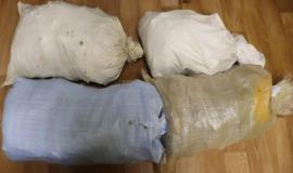 IMG_3066-800x600 (1).jpeg