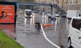 IMG_3255.jpeg